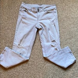 New York & Company Cropped Boyfriend Jeans Sz 8